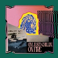 Виниловая пластинка Carlos Nino / (I'm Just) Chillin', On Fire (Black) (2LP)