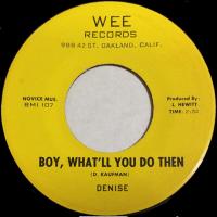 Виниловая пластинка DENISE / DENISE & COMPANY / BOY WHAT'LL YOU DO THEN / CHAOS (1LP)