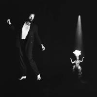 Виниловая пластинка Father John Misty / Chloe And The Next 20Th Century (2LP)