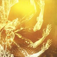 Виниловая пластинка Tool / Fear Inoculum (3LP) Виниловая пластинка Tool / Fear Inoculum (3LP)