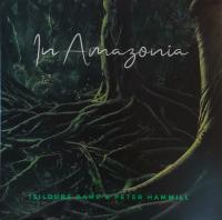 Виниловая пластинка Peter Hammill and Isildurs Bane / In Amazonia (LP)