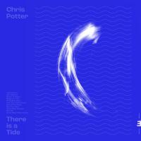 Виниловая пластинка Chris Potter / There Is A Tide (1LP) Виниловая пластинка Chris Potter / There Is A Tide (1LP)
