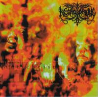 Виниловая пластинка Necrophobic / The Third Antichrist (1LP) Виниловая пластинка Necrophobic / The Third Antichrist (1LP)