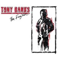 Виниловая пластинка Tony Banks / The Fugitive