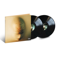 Виниловая пластинка Godsmack / Faceless (2LP)