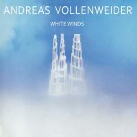 Компакт-диск Andreas Vollenweider / White Winds (Jewel) (1CD)