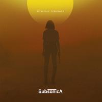 Виниловая пластинка Subsonica / MICROCHIP TEMPORALE