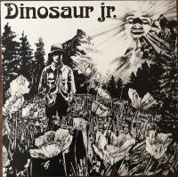 Виниловая пластинка Dinosaur Jr. / Dinosaur (1LP)