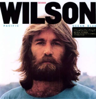 Виниловая пластинка Dennis Wilson / Pacific Ocean Blue (1LP)