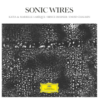 Виниловая пластинка Katia & Marielle Labeque & Bryce Dessner & David Chalmin / Sonic Wires (2LP)