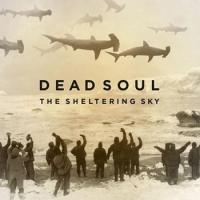 Виниловая пластинка DEAD SOUL / THE SHELTERING SKY (1LP)