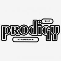 Виниловая пластинка The Prodigy / Experience (2LP) Виниловая пластинка The Prodigy / Experience (2LP)