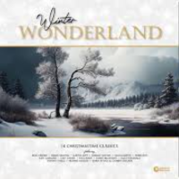 Виниловая пластинка Various Artists / Winter wonderland - 14 christmastime classics (red marble vinyl) (1LP)