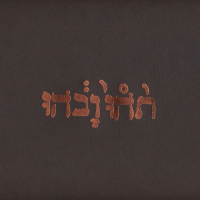 Виниловая пластинка Godspeed You! Black Emperor / Slow Riot For New Zero (1LP)