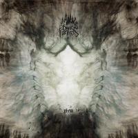 Виниловая пластинка Dark Fortress / Ylem (2LP)