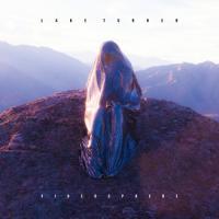 Виниловая пластинка LAKE TURNER / Videosphere