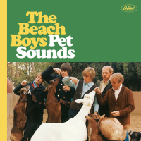 Виниловая пластинка Beach Boys / Pet Sounds (coloured) (1LP) Виниловая пластинка Beach Boys / Pet Sounds (coloured) (1LP)