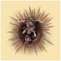 Виниловая пластинка Фёдоров и Крузенштерн / В Траве (LP)