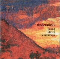 Компакт-диск Tindersticks / Falling Down A Mountain (Digisleeve) (1CD)