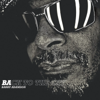 Виниловая пластинка Barry Adamson / Back To The Cat (Clear, Limited) (1LP)