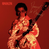 Виниловая пластинка Marcin / Dragon In Harmony (coloured) (1LP)