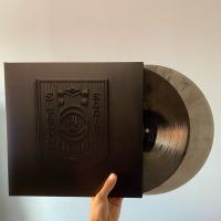 Виниловая пластинка While She Sleeps / Sleeps Society (Transparent)(2LP)