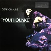 Виниловая пластинка Dead Or Alive / Youthquake (LP)