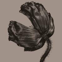 Виниловая пластинка Pet Shop Boys / Release (LP)