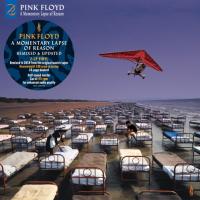 Виниловая пластинка Pink Floyd / A Momentary Lapse Of Reason (2LP)