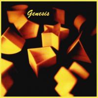 Виниловая пластинка Genesis / Genesis (LP)