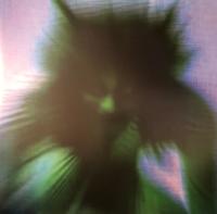 Виниловая пластинка Yves Tumor / Safe In The Hands Of Love (2LP)