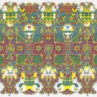 Виниловая пластинка King Gizzard & The Lizard Wizard / Butterfly 3000 (LP)