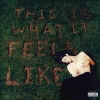 Виниловая пластинка Gracie Abrams / This is What It Feels Like (1LP)