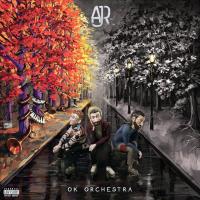 Виниловая пластинка AJR / Ok Orchestra (LP)