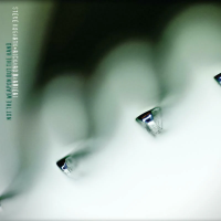 Виниловая пластинка Steve Hogarth & Richard Barbieri / Not The Weapon But The Hand (1LP)