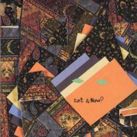 Компакт-диск Animal Collective / Isn't It Now? (Digisleeve) (1CD)