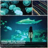 Виниловая пластинка Bring Me The Horizon / Count Your Blessings (1LP)