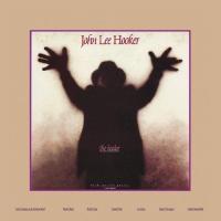 Виниловая пластинка John Lee Hooker / The healer (analogue) (2LP)