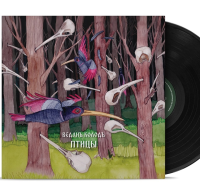 Виниловая пластинка Веданъ Колодъ / Птицы (lp) Виниловая пластинка Веданъ Колодъ / Птицы (lp)
