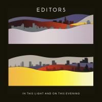 Компакт-диск Editors / In This Light And On This Evening (Jewel) (1CD)