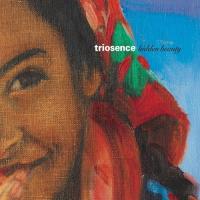 Компакт-диск Triosence / hidden beauty (1CD)