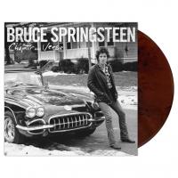 Виниловая пластинка Bruce Springsteen / Chapter And Verse (Coloured Vinyl)(2LP)