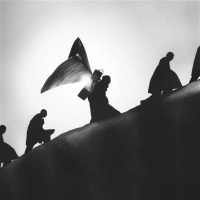 Виниловая пластинка JAMES BLAKE / PLAYING ROBOTS INTO HEAVEN (1LP)