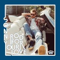 Виниловая пластинка Sonny Smith / Rod For Your Love (LP)