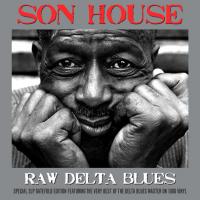 Виниловая пластинка Son House / Raw Delta Blues (2LP)