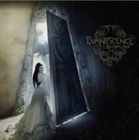 Виниловая пластинка Evanescence / The Open Door (Limited Edition)(Coloured Vinyl)(2LP)