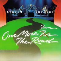 Виниловая пластинка Lynyrd Skynyrd / One More From The Road (Black, 180 Gram) (2LP)