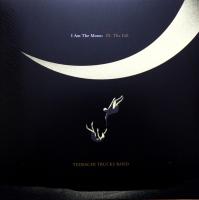 Виниловая пластинка Tedeschi Trucks Band / I Am the Moon: Iii. the Fall (1LP)