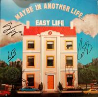 Виниловая пластинка Hard Life / Maybe In Another Life... (1LP)