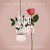 Виниловая пластинка COHEN AVISHAI / TWO ROSES (2LP)